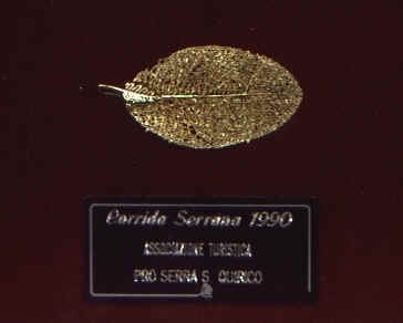 Corrida.jpg (8143 byte)